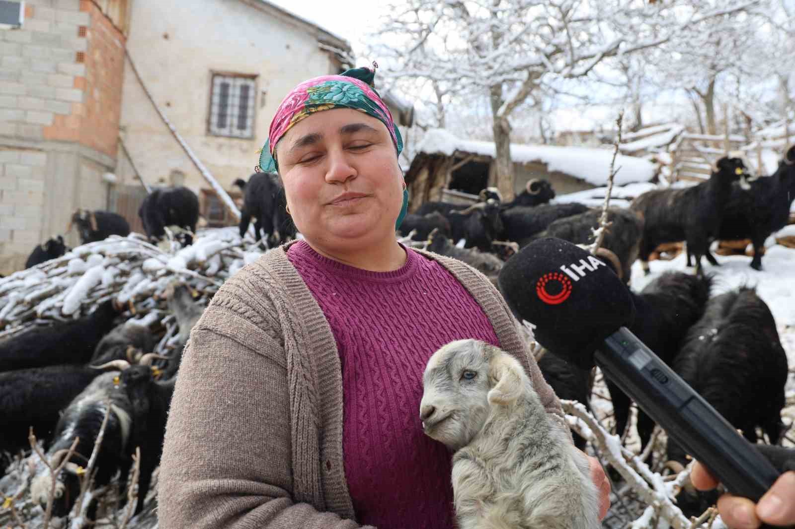 Kırsalda hayvancılıkla uğraşan kadın besicinin zorlu mesaisi
