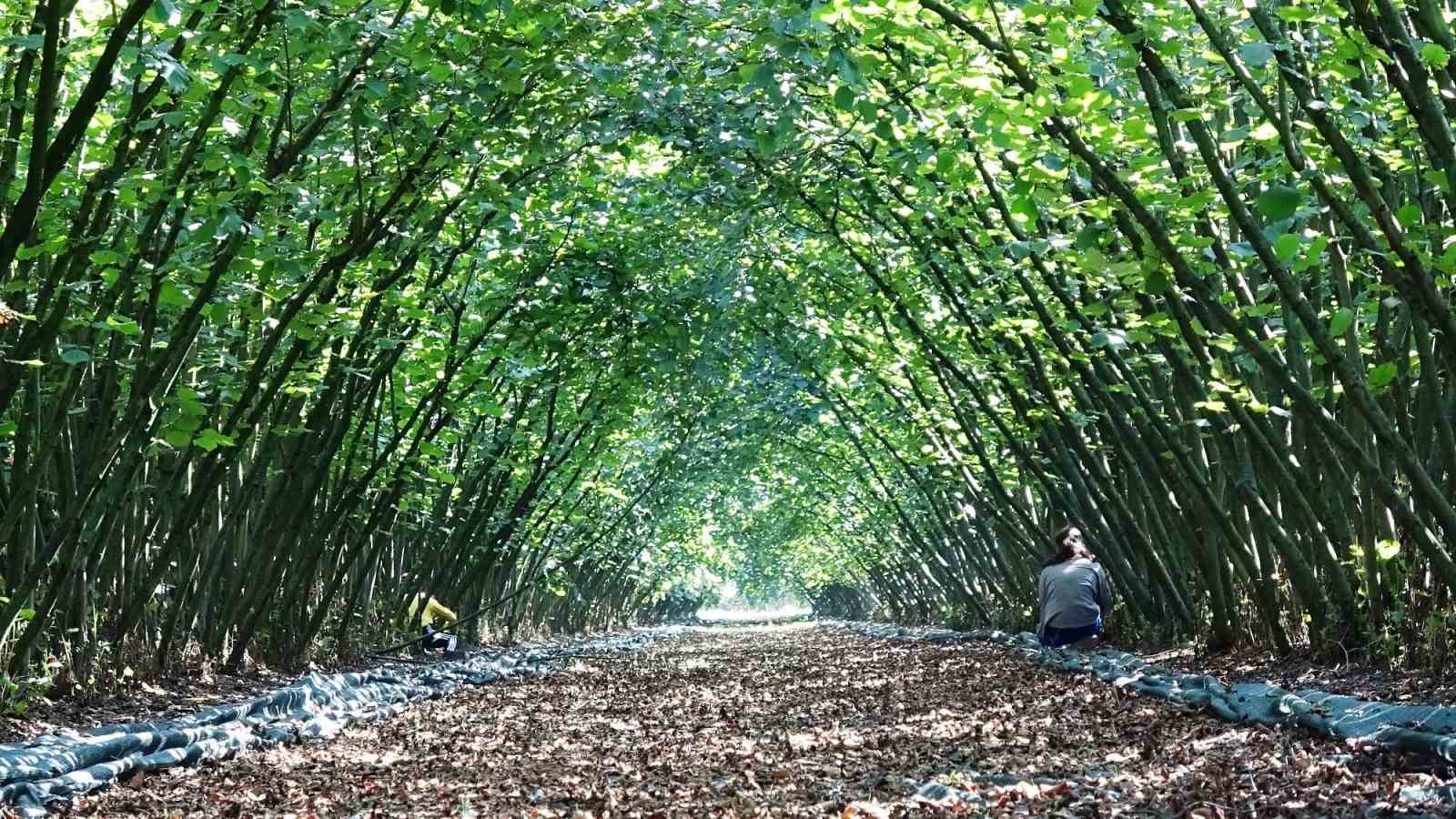 Kırsalda üretime 33,6 milyon liralık can suyu
