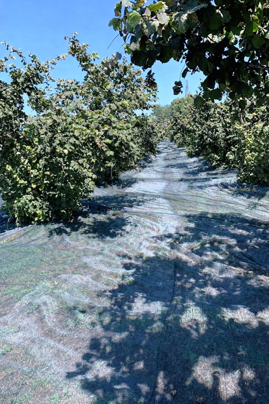 Kırsalda üretime 33,6 milyon liralık can suyu
