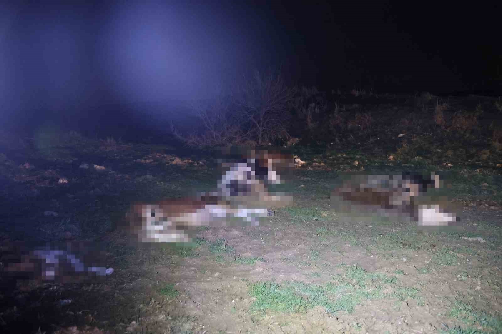 Kırşehir’de bulunan 13 cansız hayvan jandarmayı harekete geçirdi
