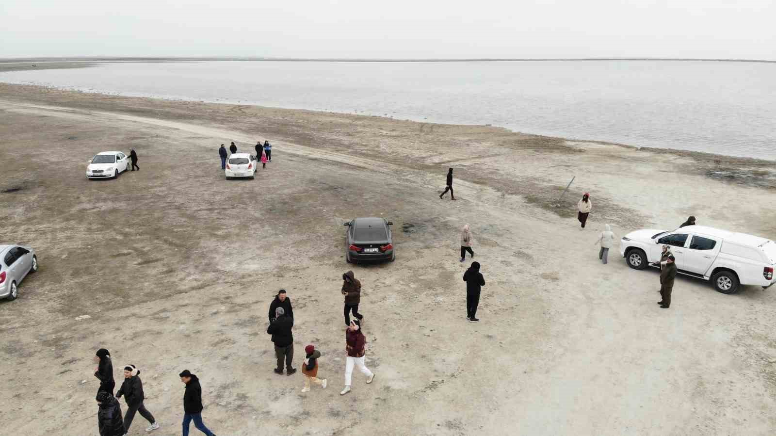 Kırşehir’de flamingolar fotoğraf tutkunlarının objektifine yansıdı
