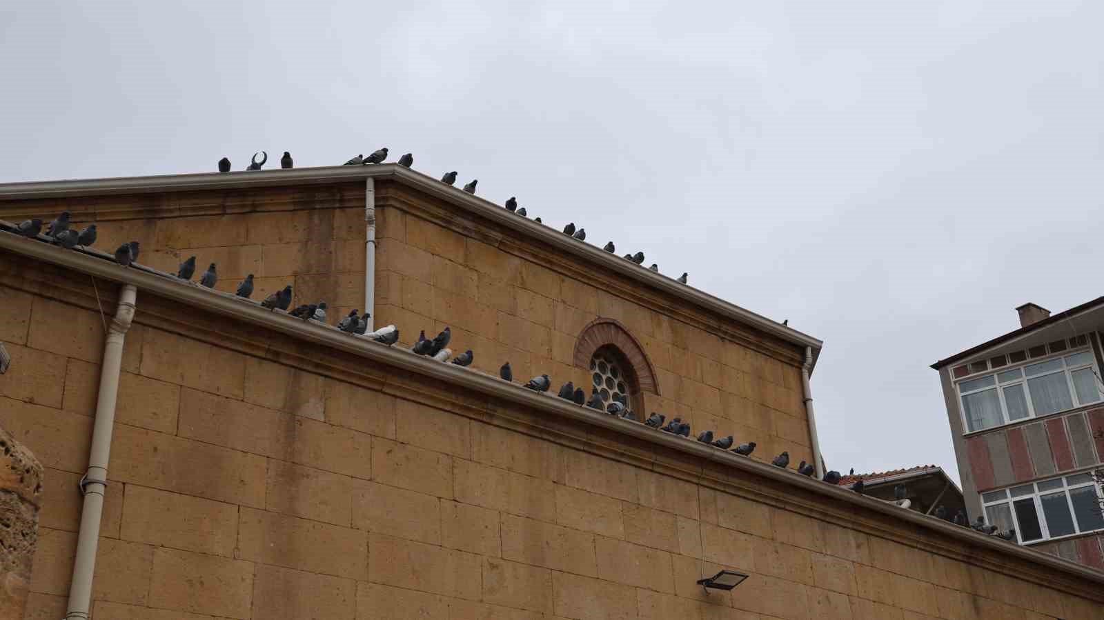 Kırşehir’de tarihi Kapucu Camii güvercinlerin yuvası oldu
