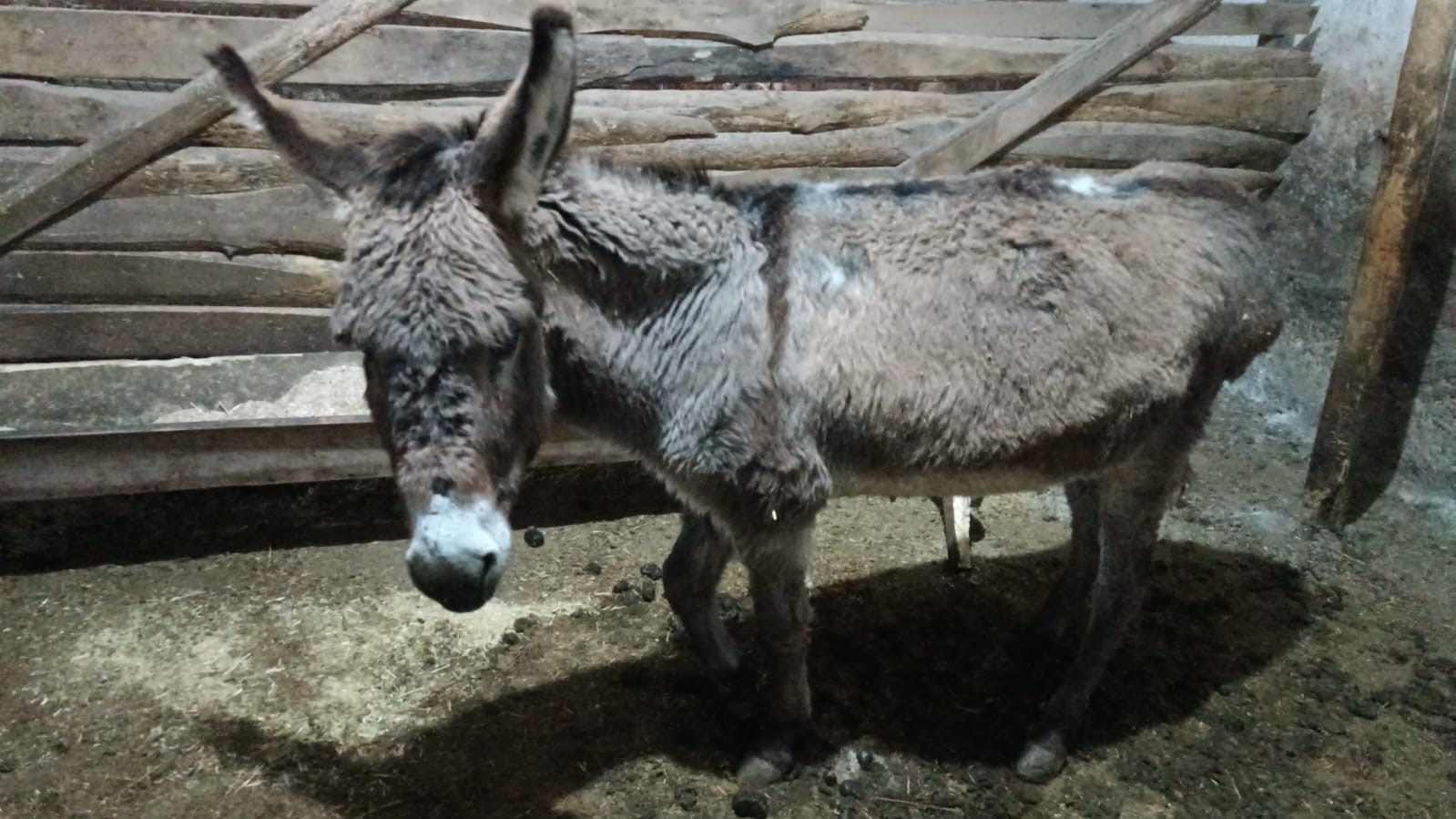 Kırşehirli köylüden vicdanlara dokunan hareket
