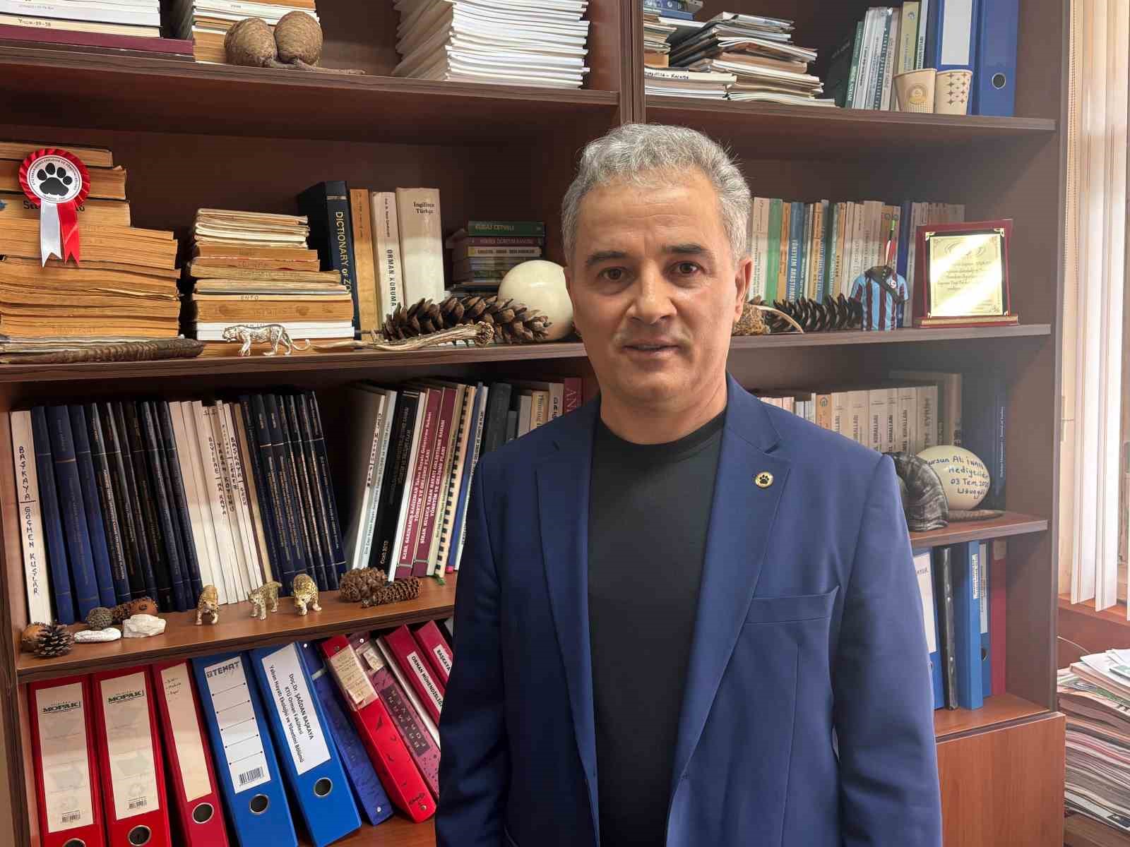 Kış uykusu bitti, ayı istilası başladı
