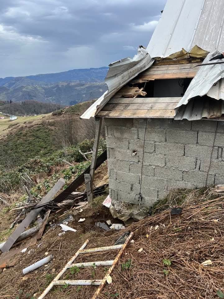 Kış uykusu bitti, ayı istilası başladı
