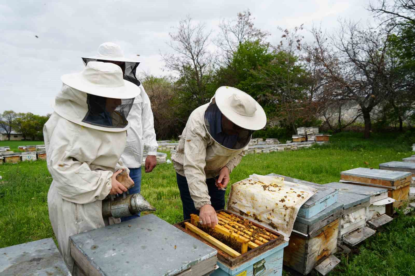 Kış uykusundan uyanan arılar Erzincan’da yeni sezona hazırlanıyor
