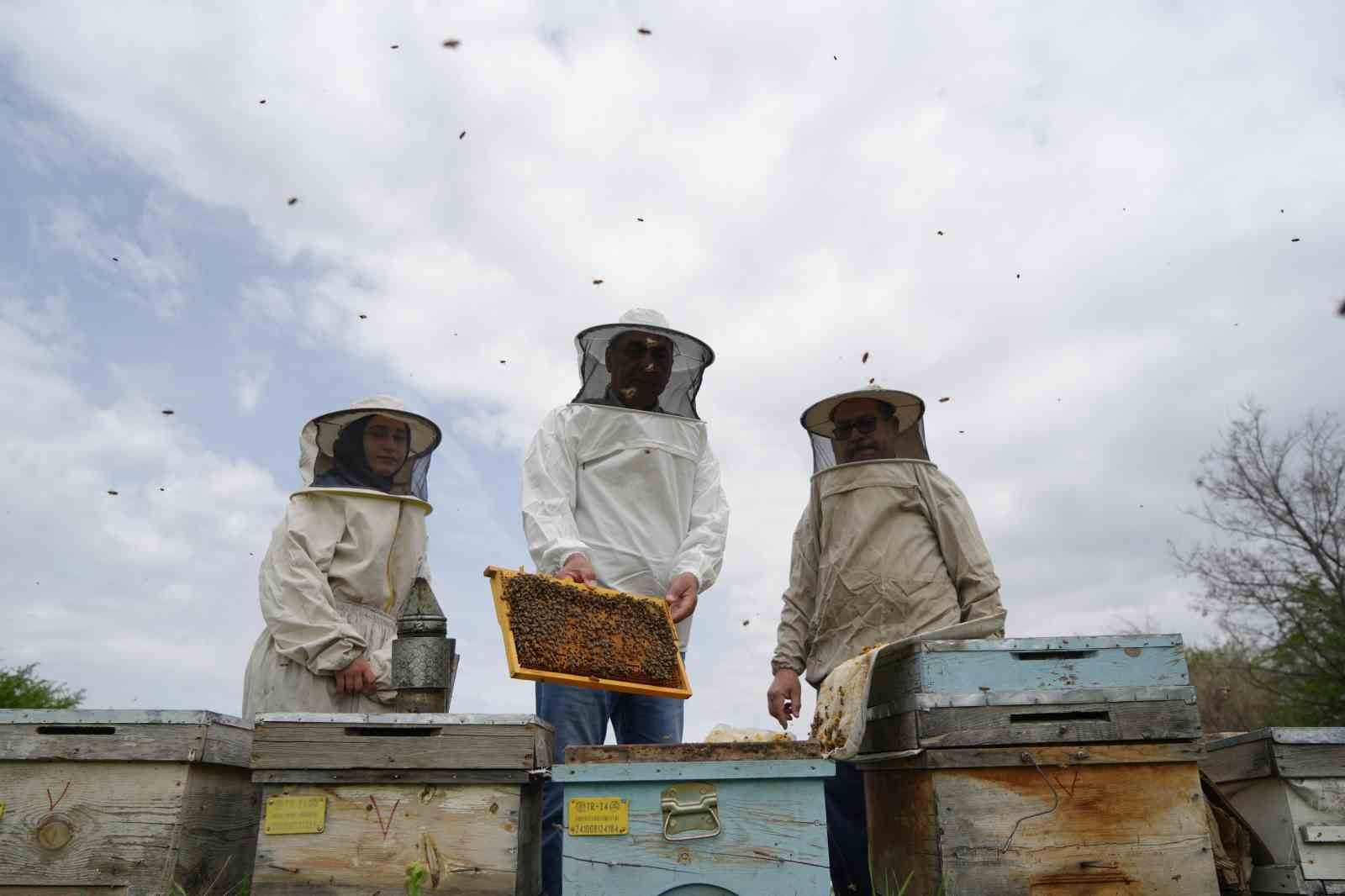 Kış uykusundan uyanan arılar Erzincan’da yeni sezona hazırlanıyor
