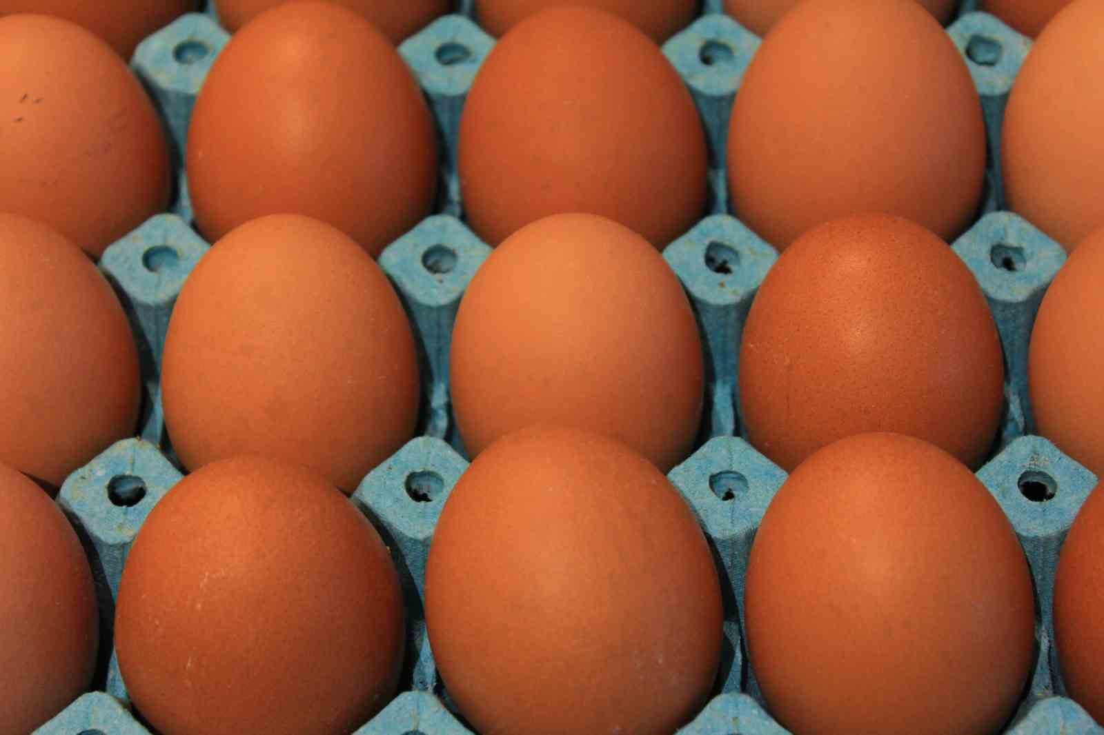 Kişi başına düşen yumurta üretimi 15 adet azaldı
