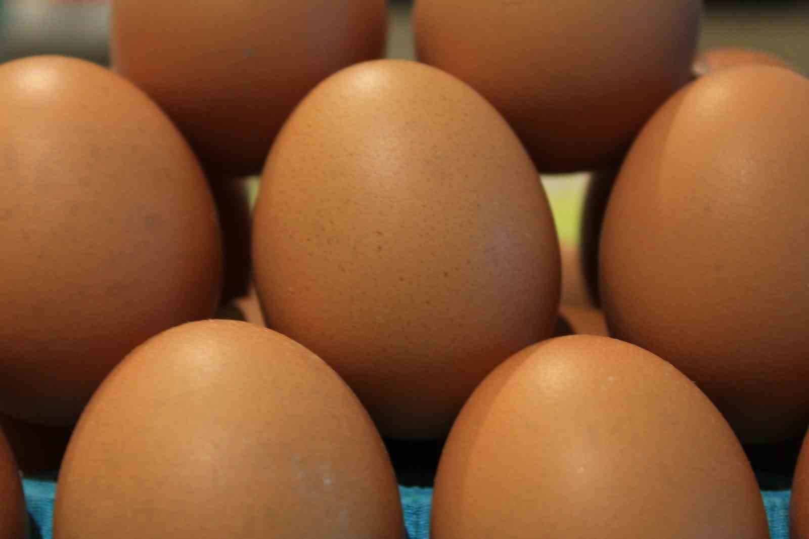 Kişi başına düşen yumurta üretimi 15 adet azaldı
