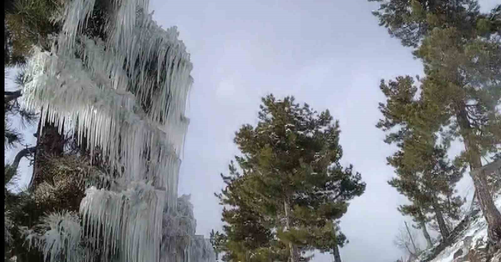 Kışın çetin şartları doğada şölen sundu
