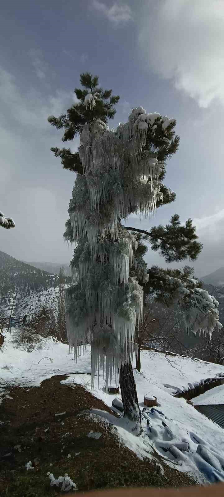 Kışın çetin şartları doğada şölen sundu
