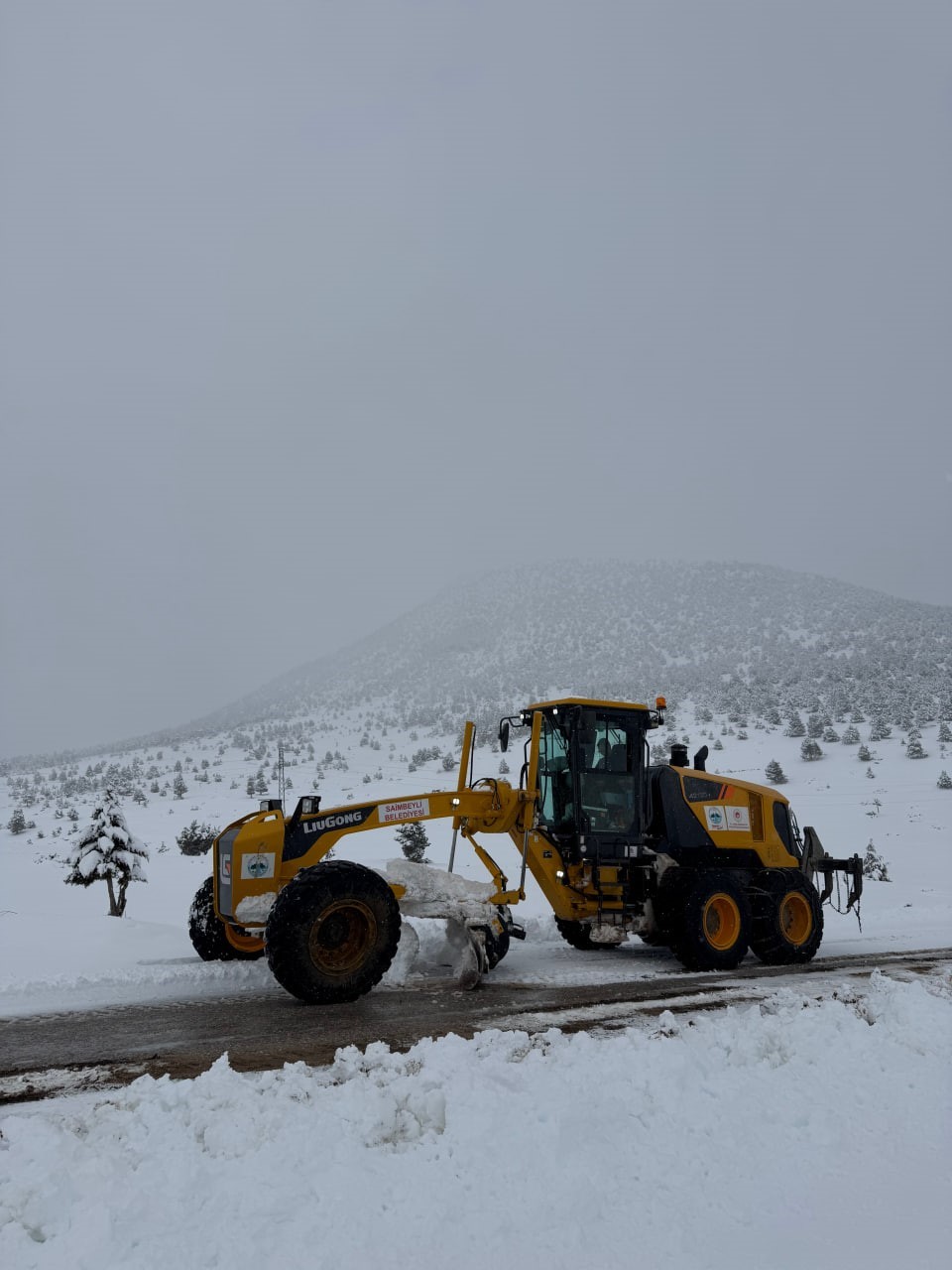 Kışın çetin şartları doğada şölen sundu
