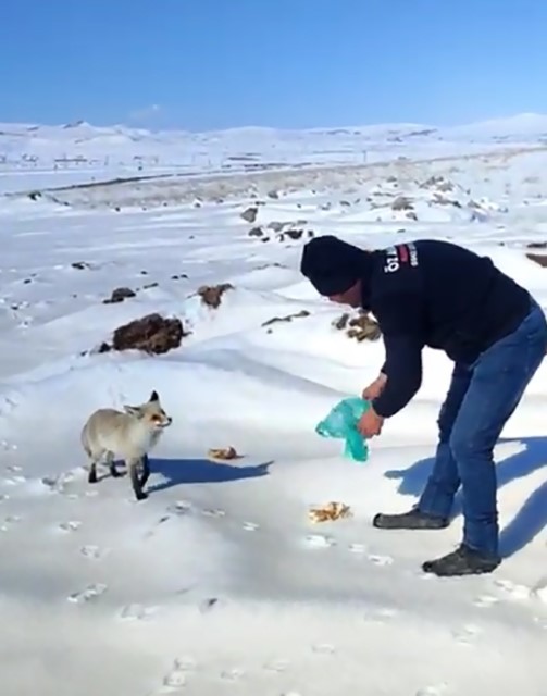 Kışın zor günlerinde tilkiye işçilerden şefkat eli
