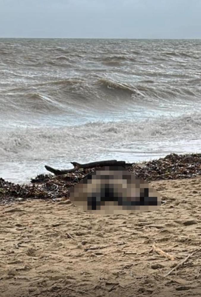 Kıyıya vuran kadın cesedi olayının sis perdesi aralanıyor
