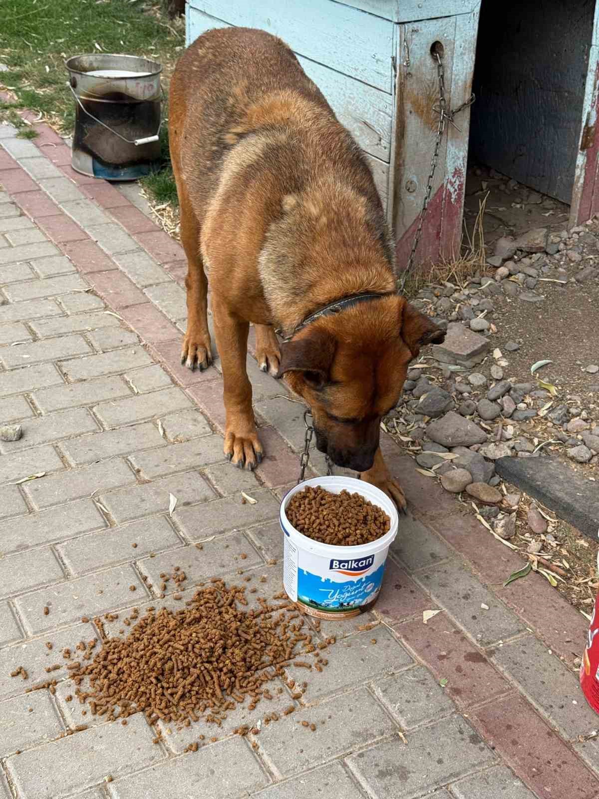Kızılcahamam’da yemek atıkları kedi ve köpek mamasına dönüşüyor
