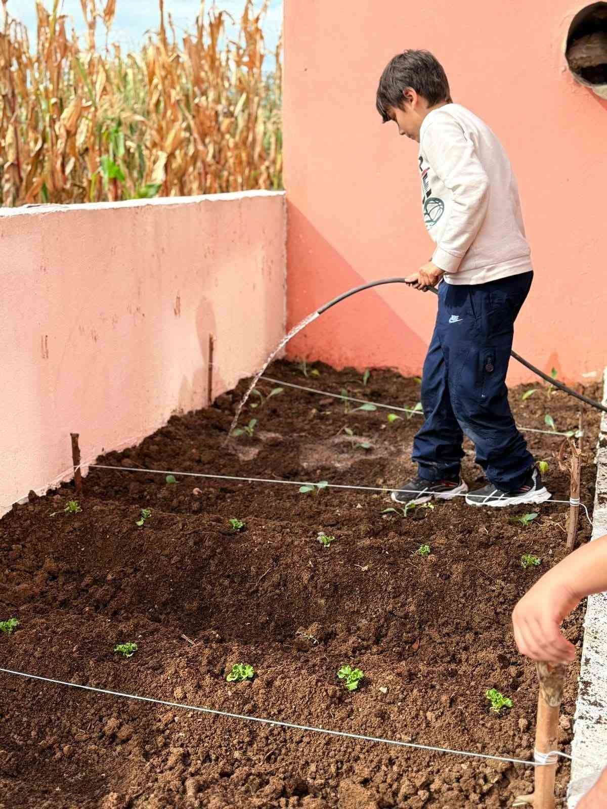 Kızılırmak Deltası’nda çocuk çiftçiler yetişiyor
