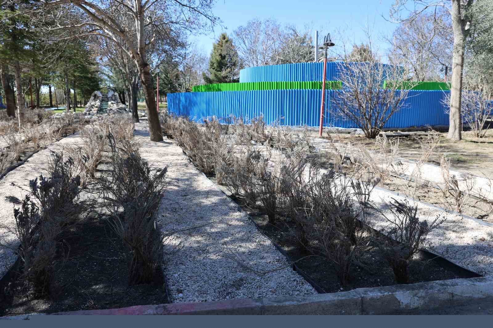 Kızının atlı terapideki dönüşümü Türkiye’de ilke imza attırdı
