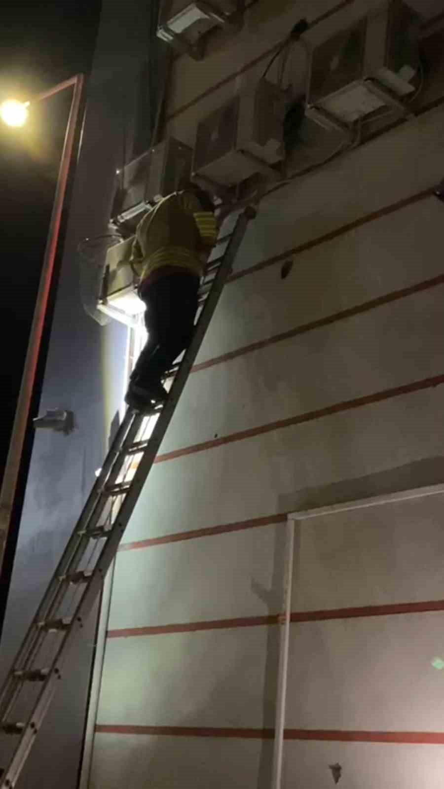 Klima motoruna sıkışan yavru kedi kurtarıldı
