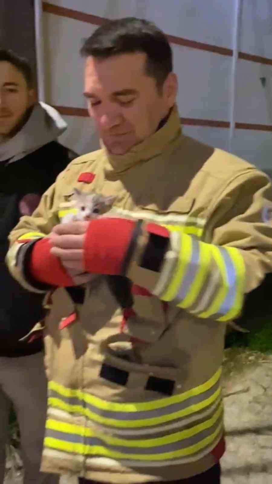 Klima motoruna sıkışan yavru kedi kurtarıldı

