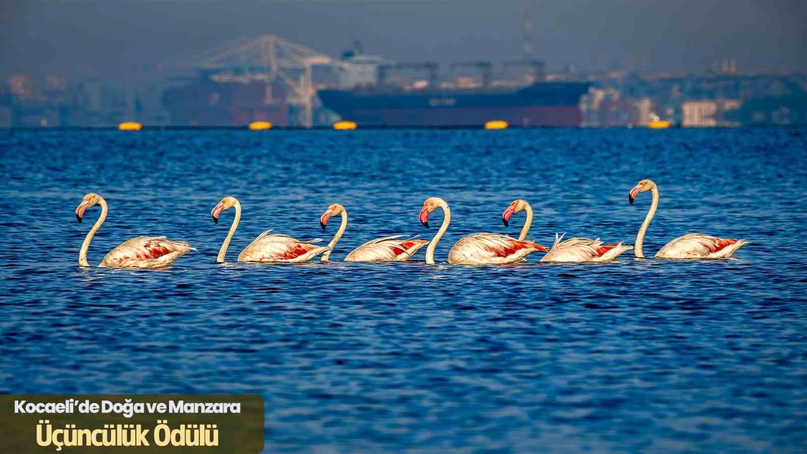 Kocaeli, turist gözüyle objektiflere taşındı
