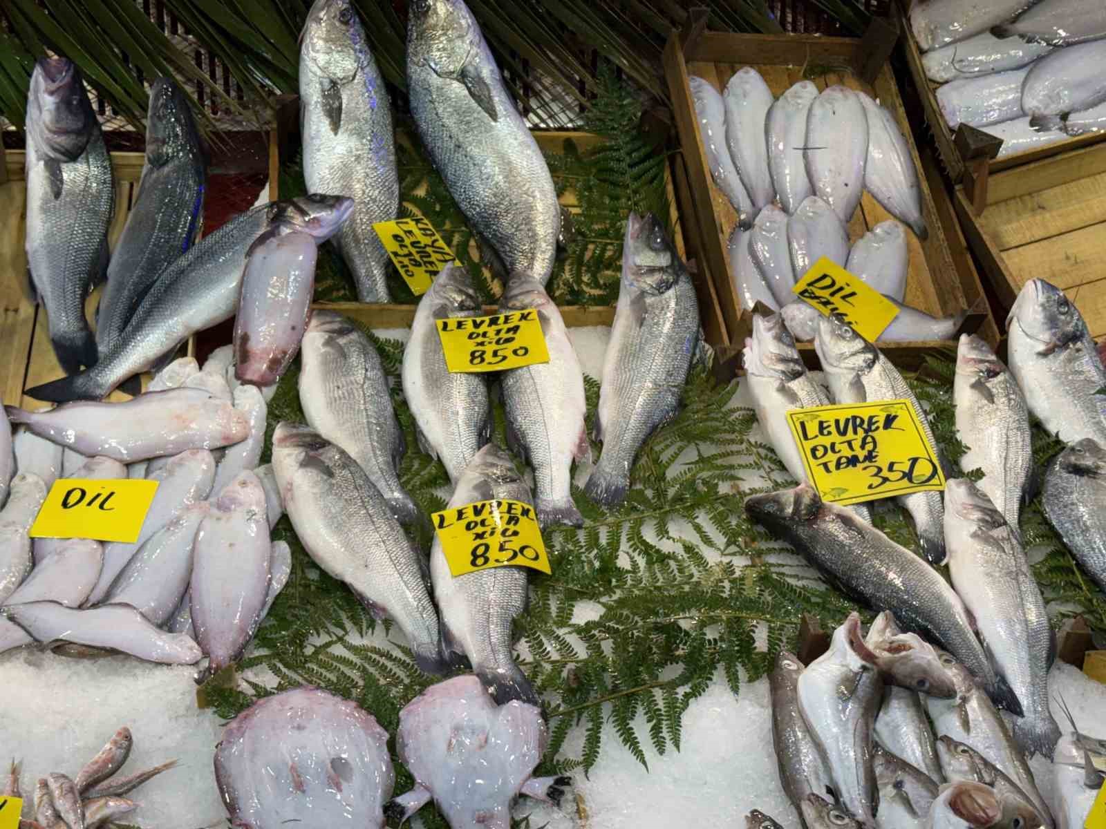 Kocaeli’de balık tezgahlarındaki son durum
