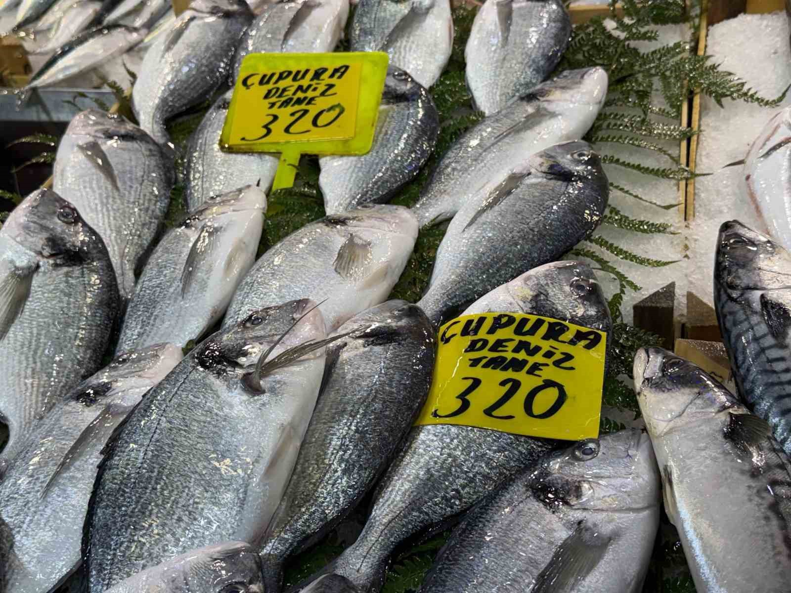 Kocaeli’de balık tezgahlarındaki son durum
