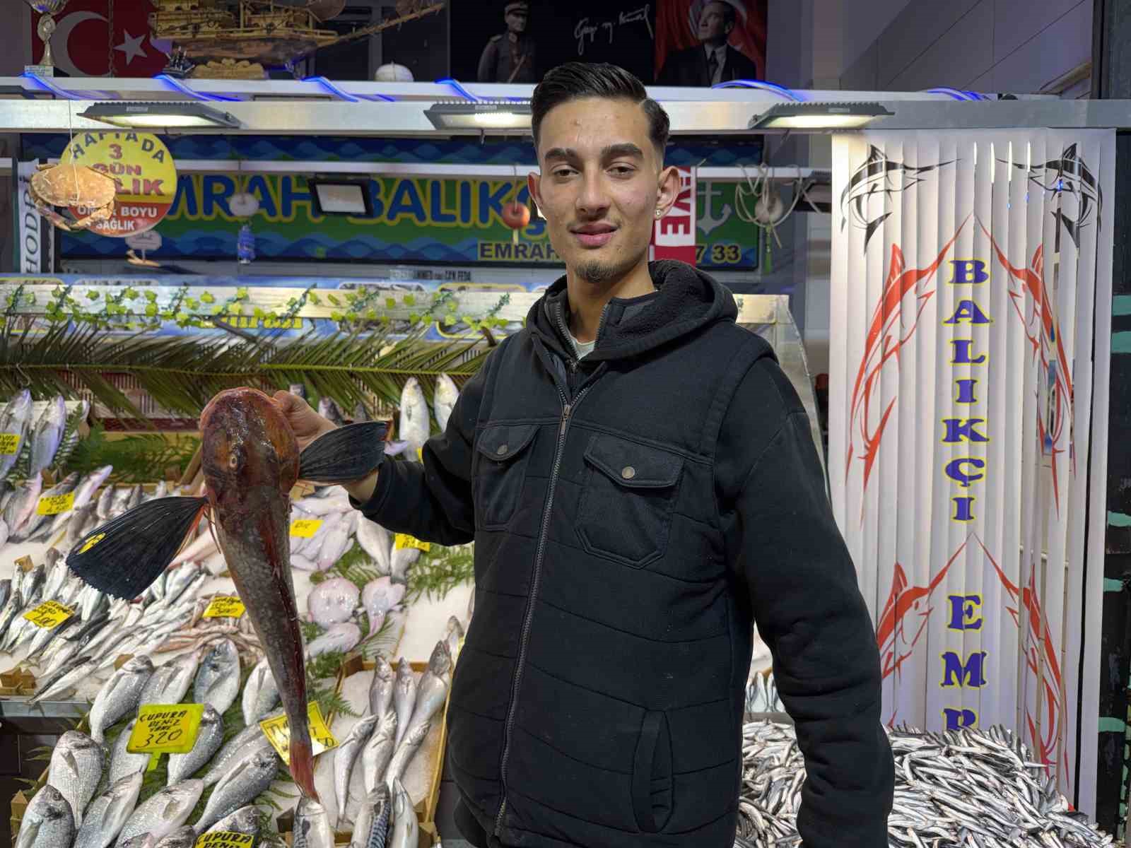 Kocaeli’de balık tezgahlarındaki son durum
