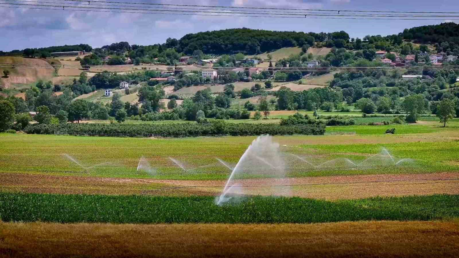 Kocaeli’de çiftçinin yüzünü güldüren destekler rakamlara yansıdı
