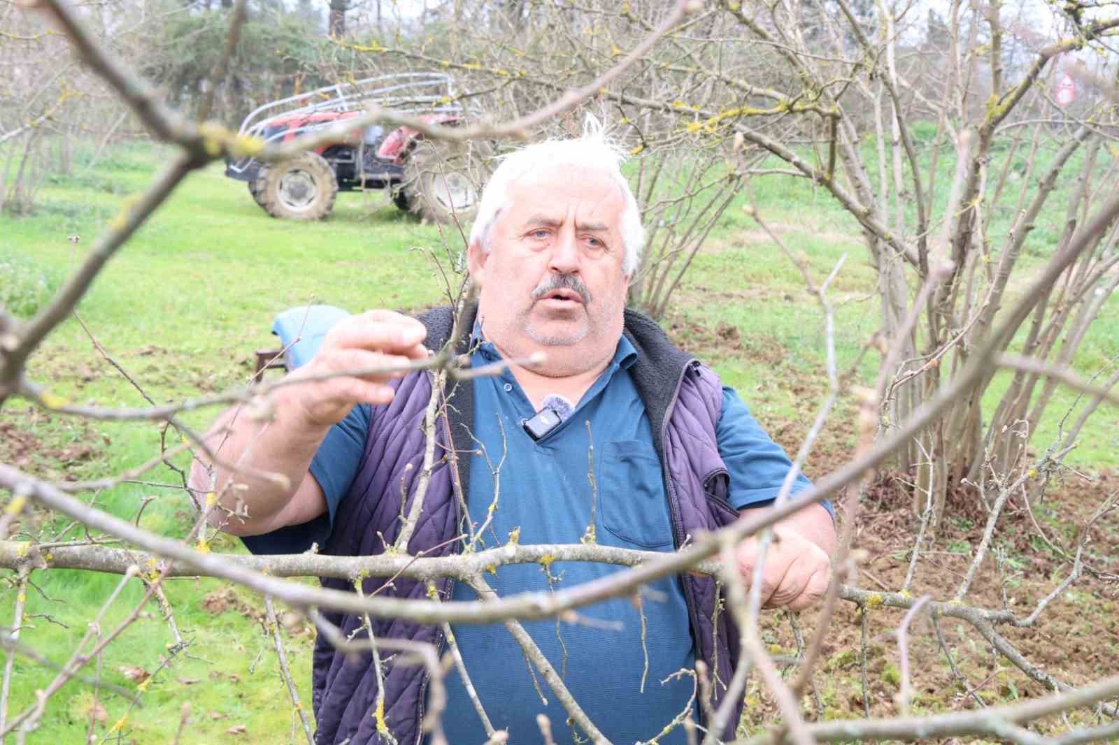 Kocaeli’de hibeli gübrelerini alan çiftçiler tarlada mesaiye başladı
