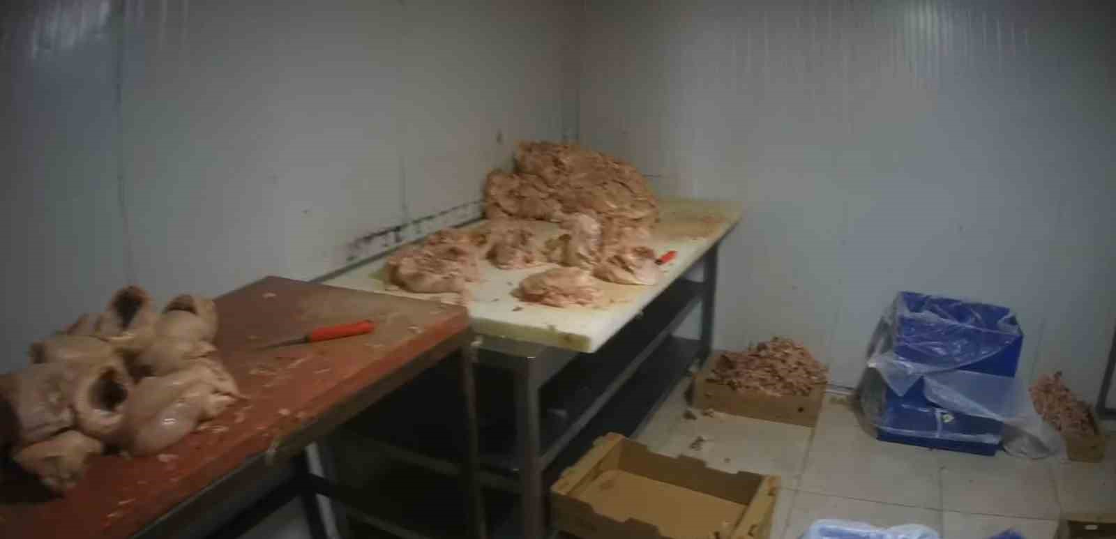 Kocaeli’de merdiven altı tavuk parçalama tesisine suçüstü
