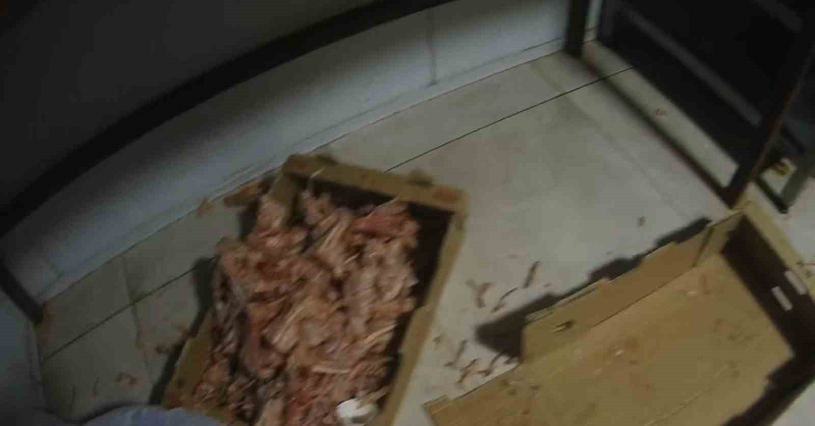 Kocaeli’de merdiven altı tavuk parçalama tesisine suçüstü
