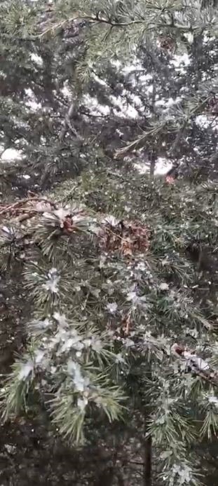 Kocaeli’de nisan ayında kar sürprizi
