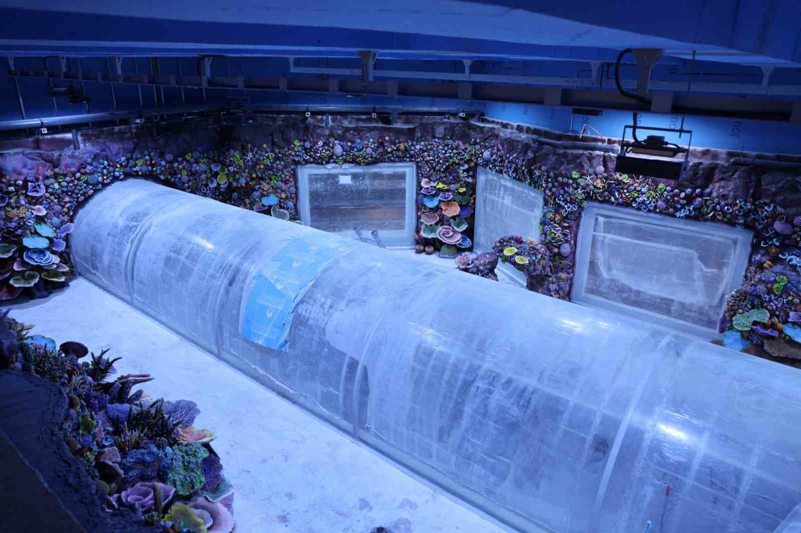 Kocaeli’de su altında dünya turu başlıyor: 30 farklı akvaryumla eşsiz gezi
Kocaeli’de su altında dünya turu başlıyor: 30 farklı akvaryumla eşsiz gezi