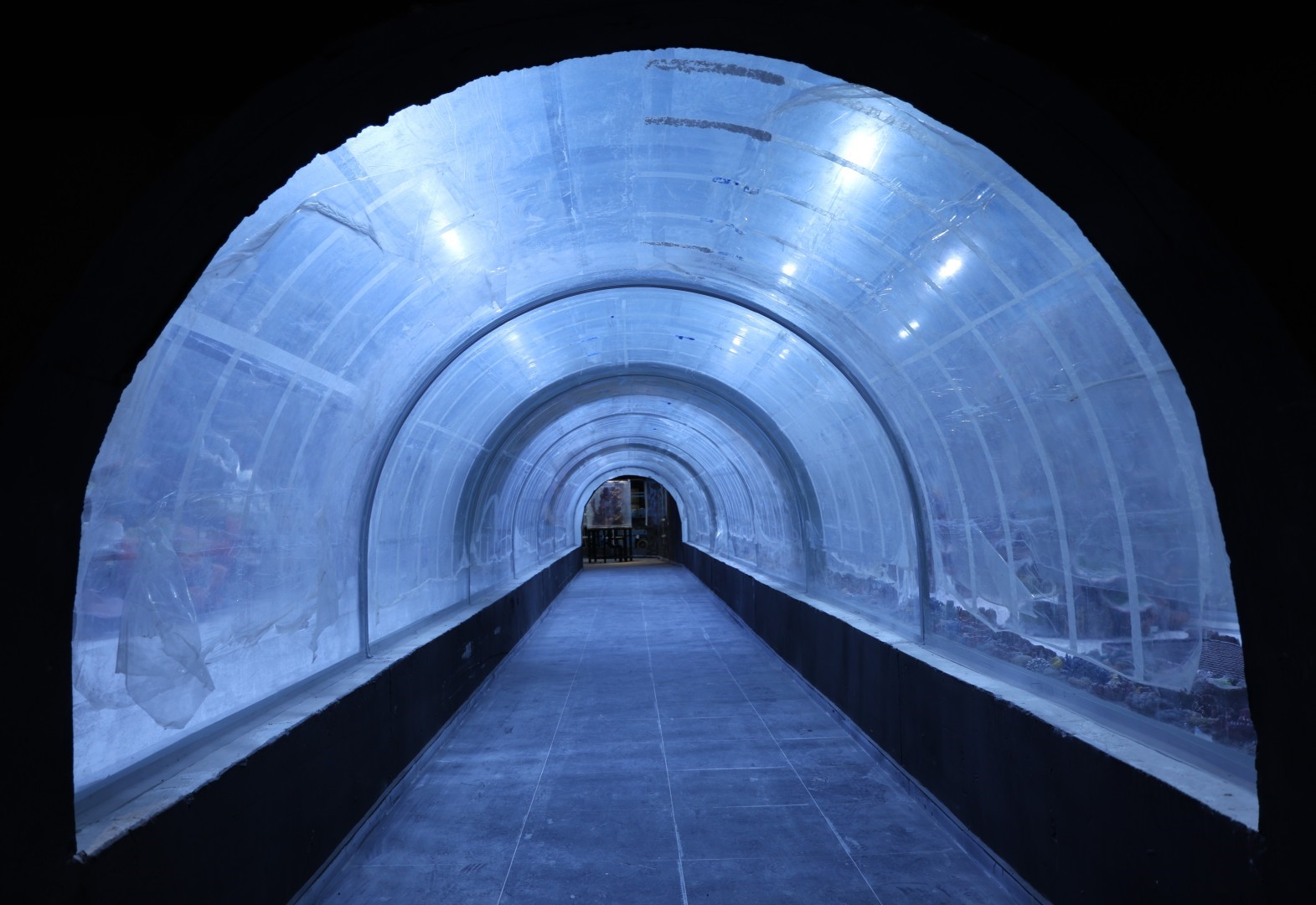 Kocaeli’de su altında dünya turu başlıyor: 30 farklı akvaryumla eşsiz gezi
Kocaeli’de su altında dünya turu başlıyor: 30 farklı akvaryumla eşsiz gezi