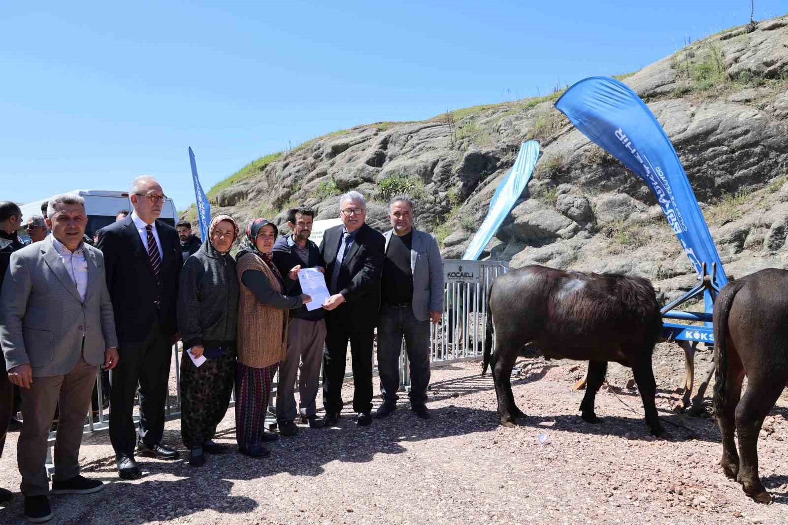 Kocaeli’deki manda yetiştiricilerine 3,4 milyon liralık destek
