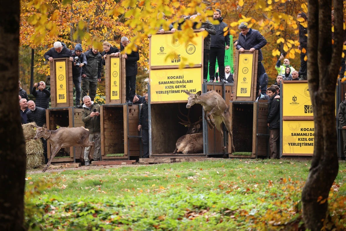Kocaeli’nin doğa turizmi merkezleri yaklaşık 5 milyon kişiyi ağırladı
