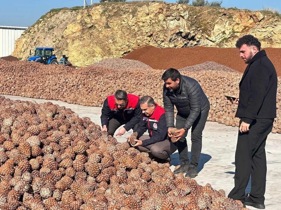Koçarlı’da Çam Fıstığı işleme tesisindeki çalışmalar yerinde incelendi
