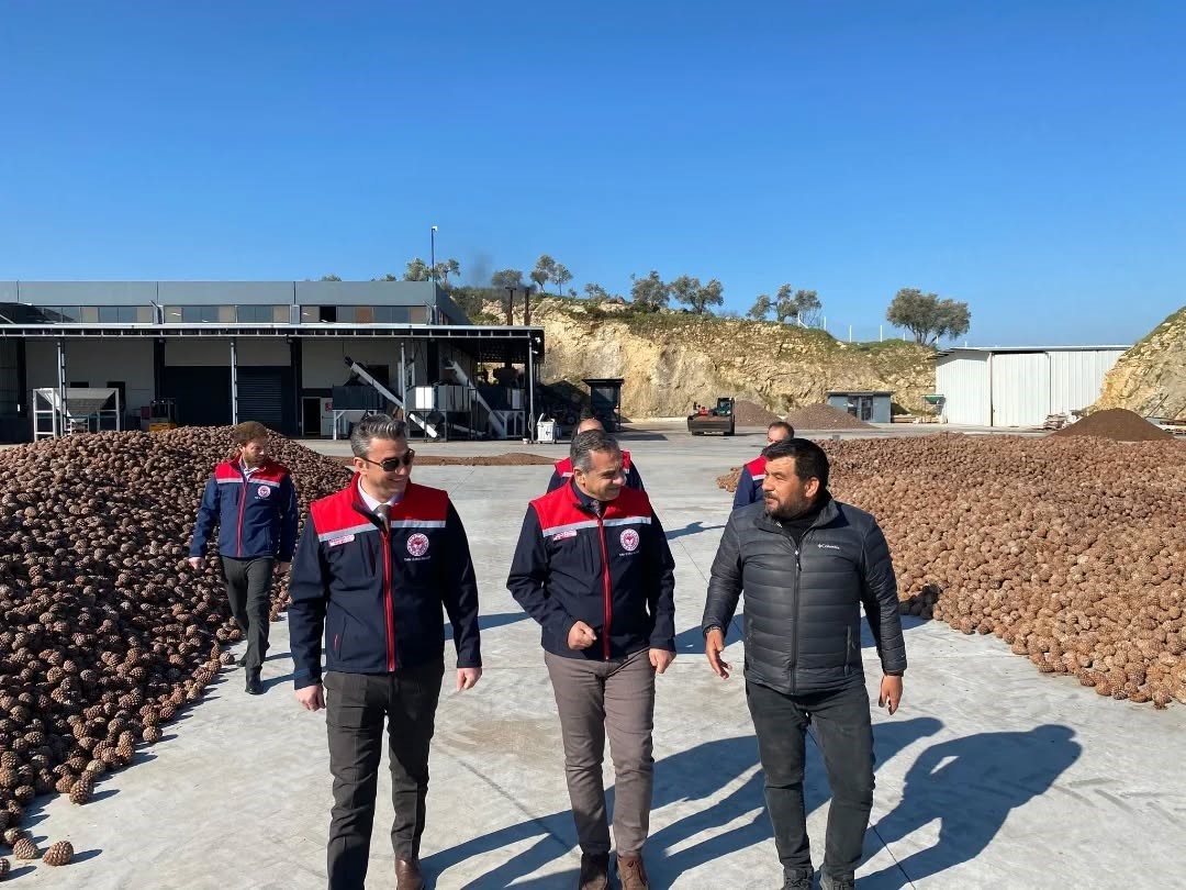 Koçarlı’da Çam Fıstığı işleme tesisindeki çalışmalar yerinde incelendi
