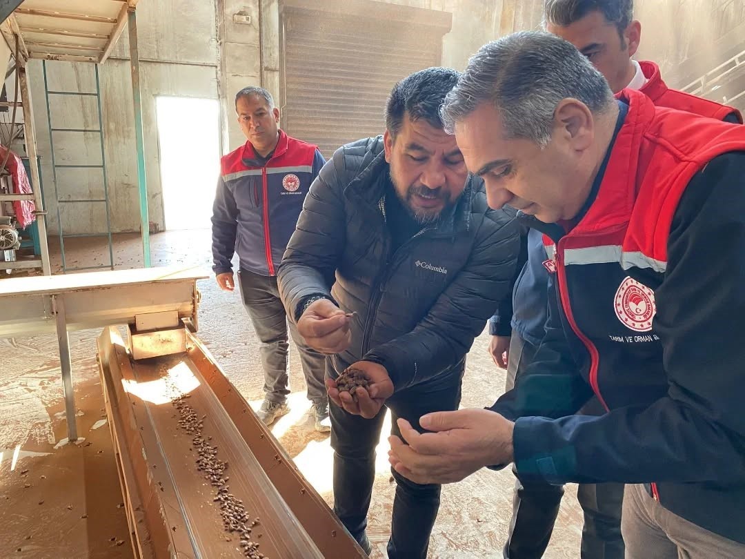 Koçarlı’da Çam Fıstığı işleme tesisindeki çalışmalar yerinde incelendi
