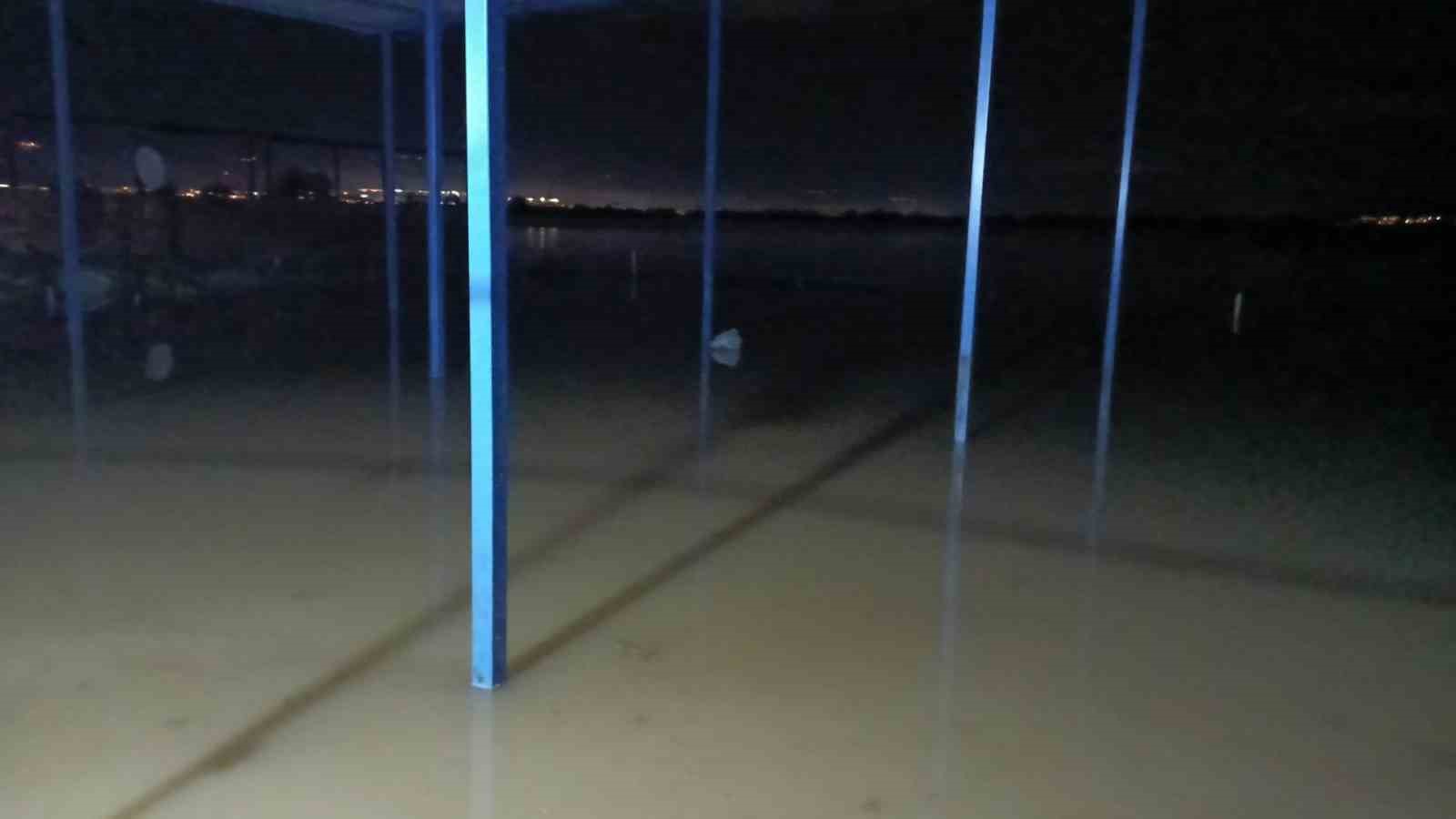 Koçarlı’da su baskını sonrası hayvan tahliyesi sürüyor
