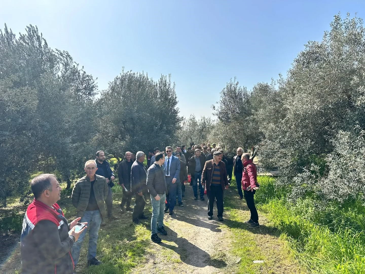 Koçarlılı üreticilere uygulamalı budama eğitimi
