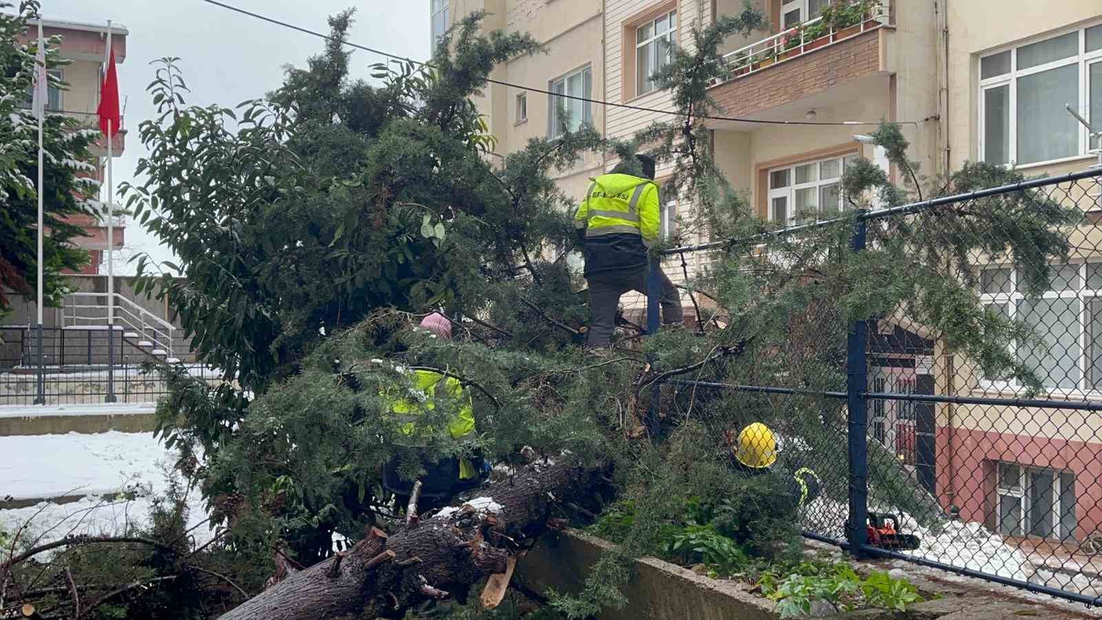 Kökünden sökülen ağaç park halindeki aracın üzerine devrildi
