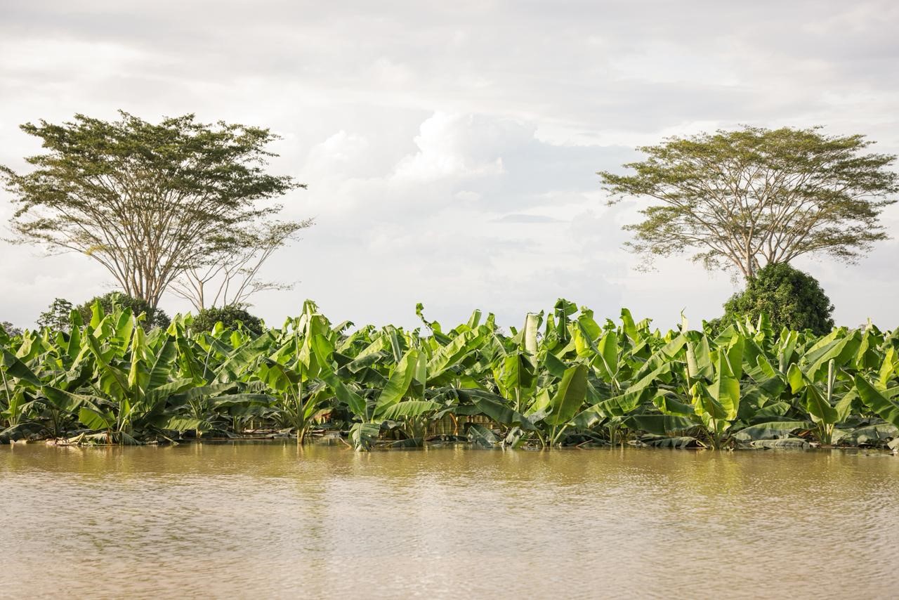 Kolombiya’da ülke genelindeki sellerde 6 kişi hayatını kaybetti
