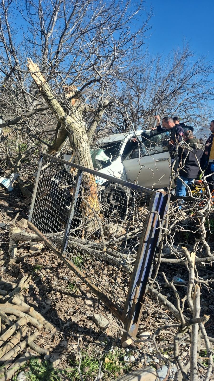 Kontrolden çıkan otomobil ağaçlara ok gibi saplandı: 2 ölü, 1 ağır yaralı
