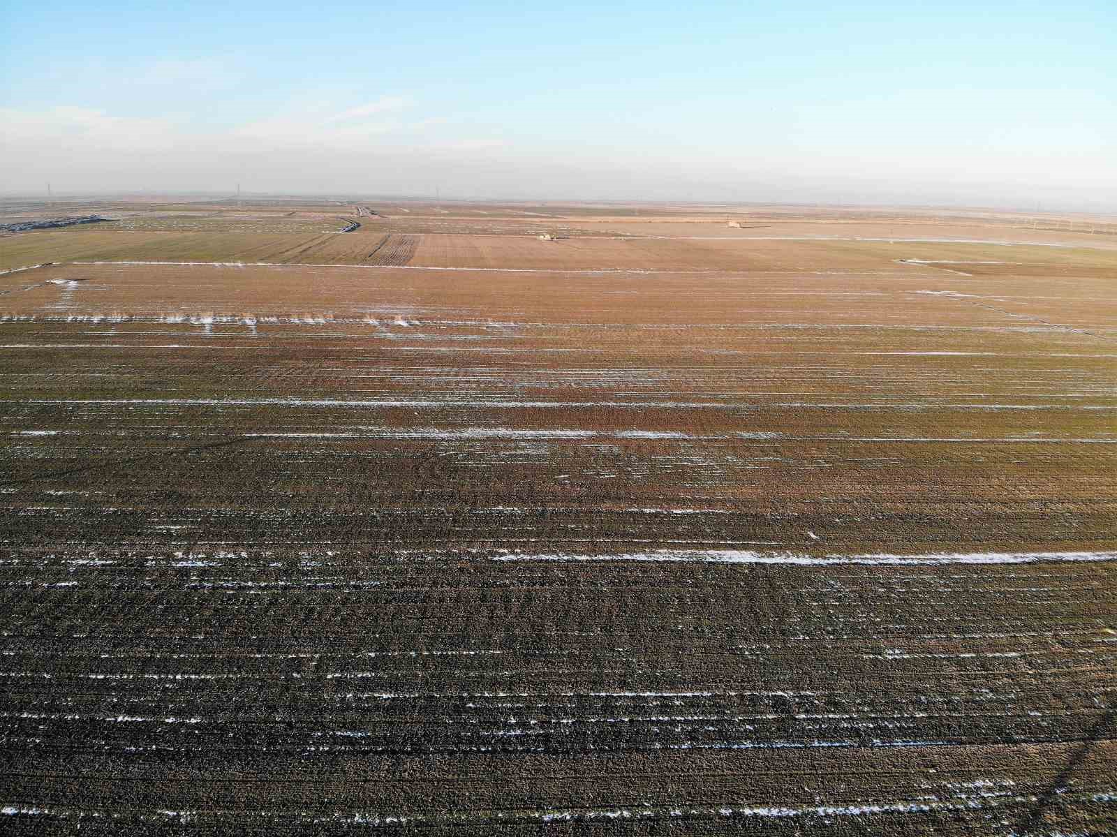 Konya Ovası’nda karsız sezon endişesi
