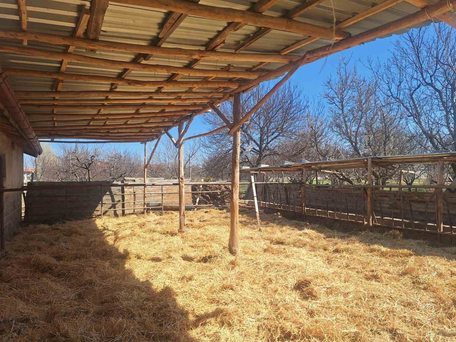 Konya’da sosyal medyaya yansıyan hayvancılık işletmesi görüntülerine inceleme
