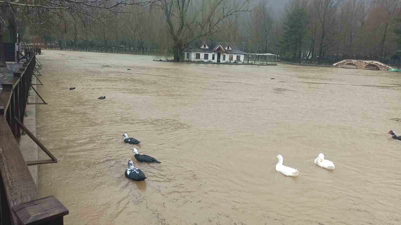 Konya’da yağış sonrası sel dereleri taşırdı

