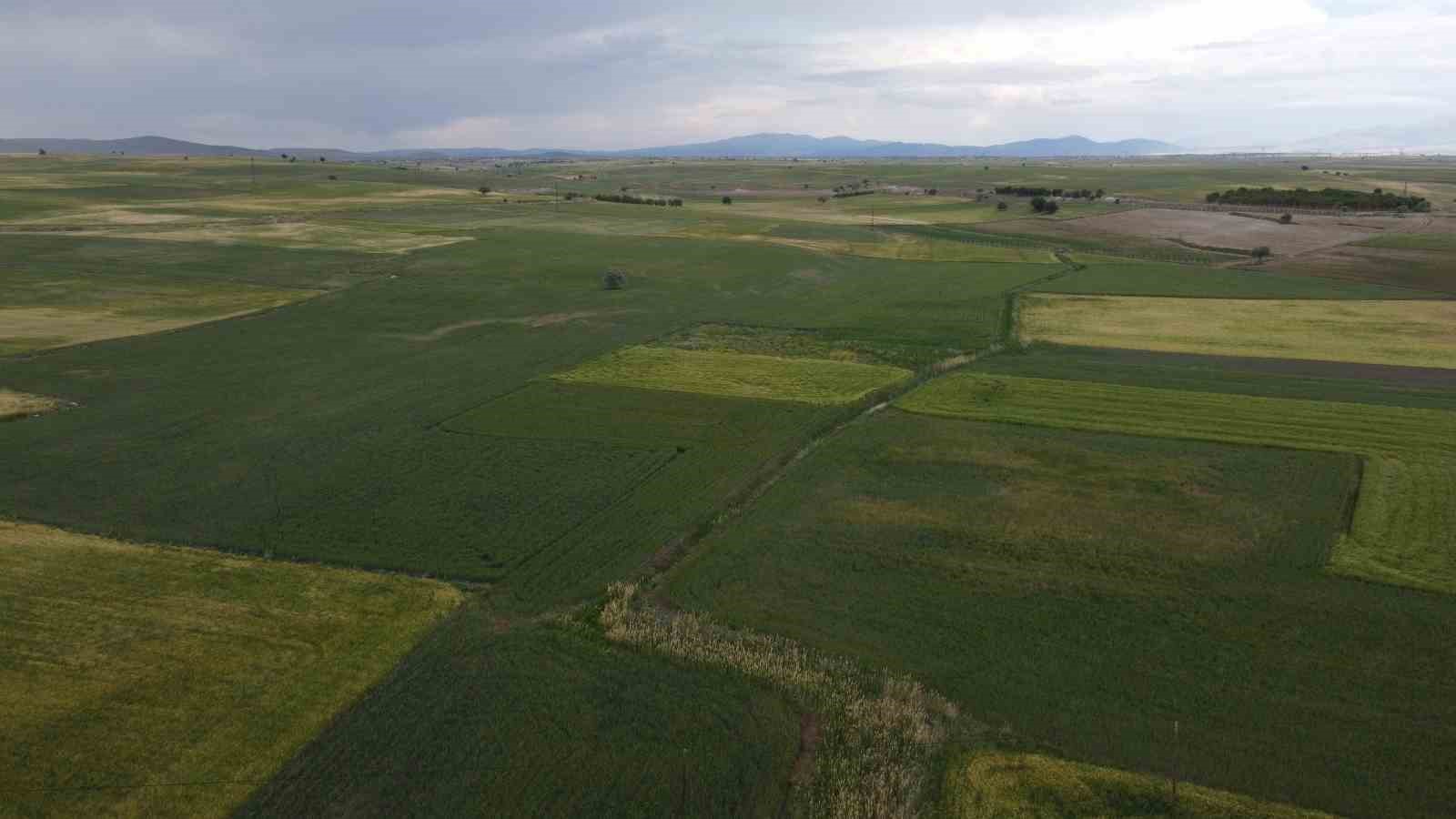 Konya’da yüksek kesimler yağışa doydu
