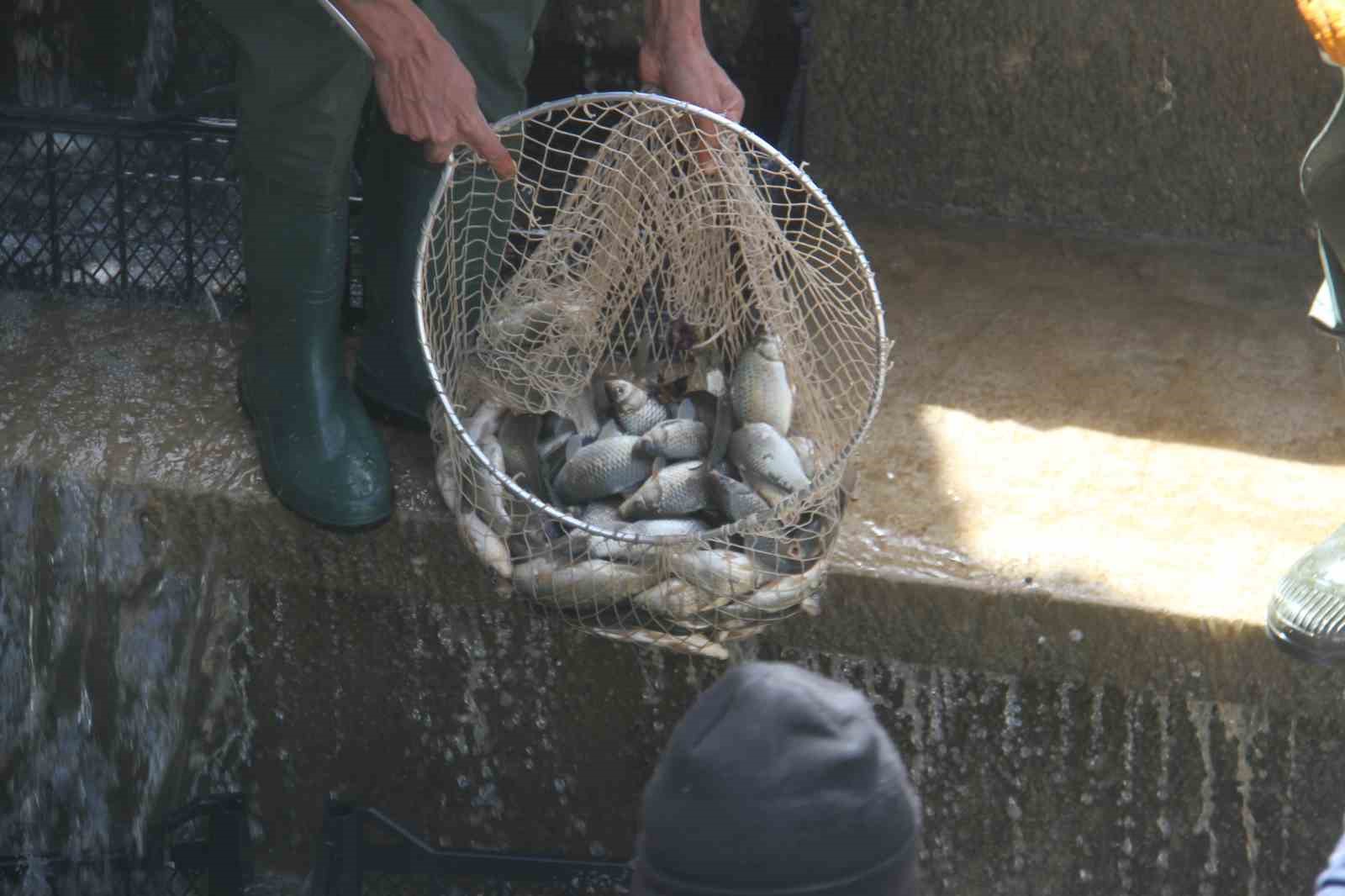Konya’nın ’denizinde’ balıkları kurtarmak için zamanla yarış
