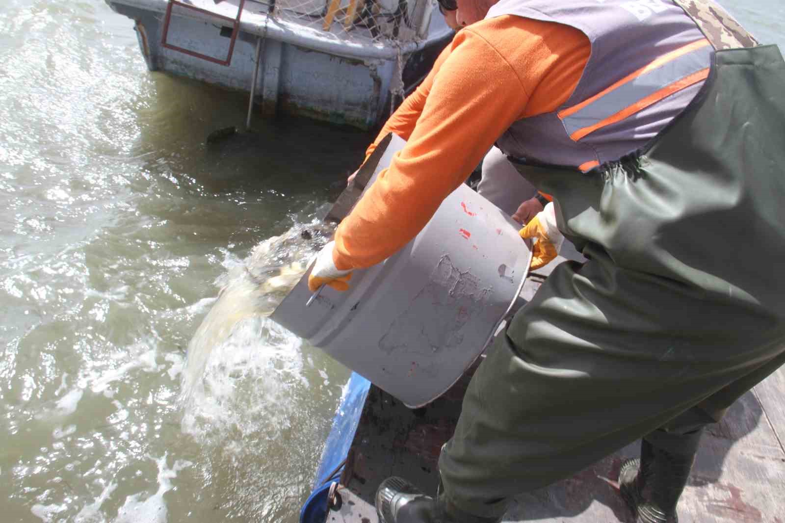 Konya’nın ’denizinde’ balıkları kurtarmak için zamanla yarış

